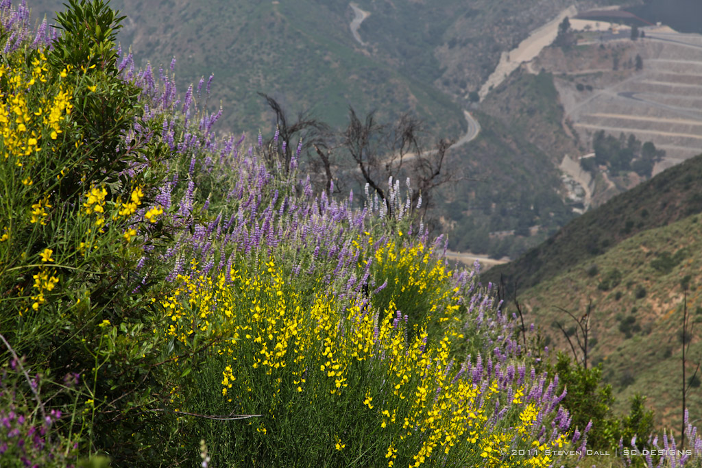 L'Etape du California