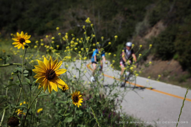 2012 L'Etape du California Ride