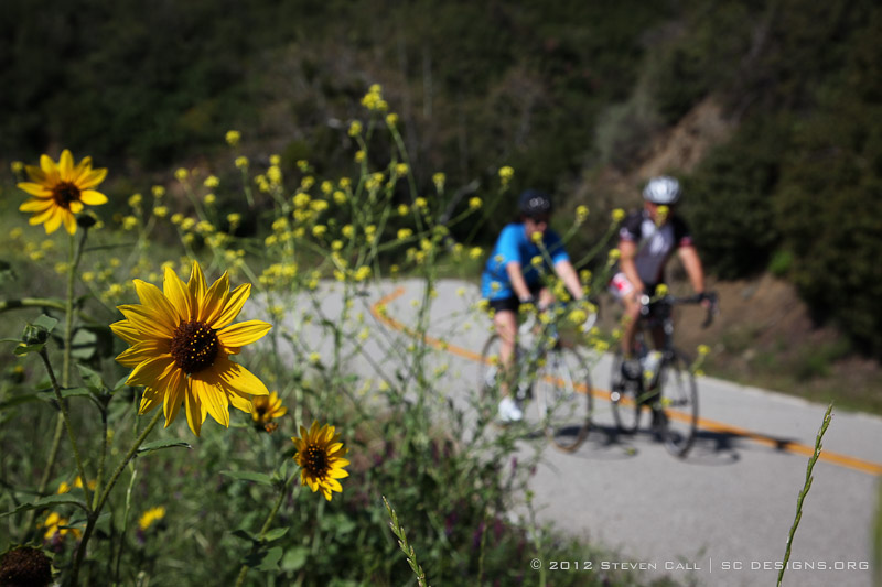 2012 L'Etape du California Ride