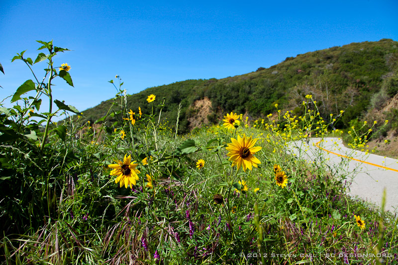2012 L'Etape du California Ride