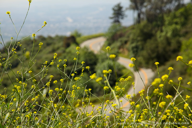 2012 L'Etape du California Ride